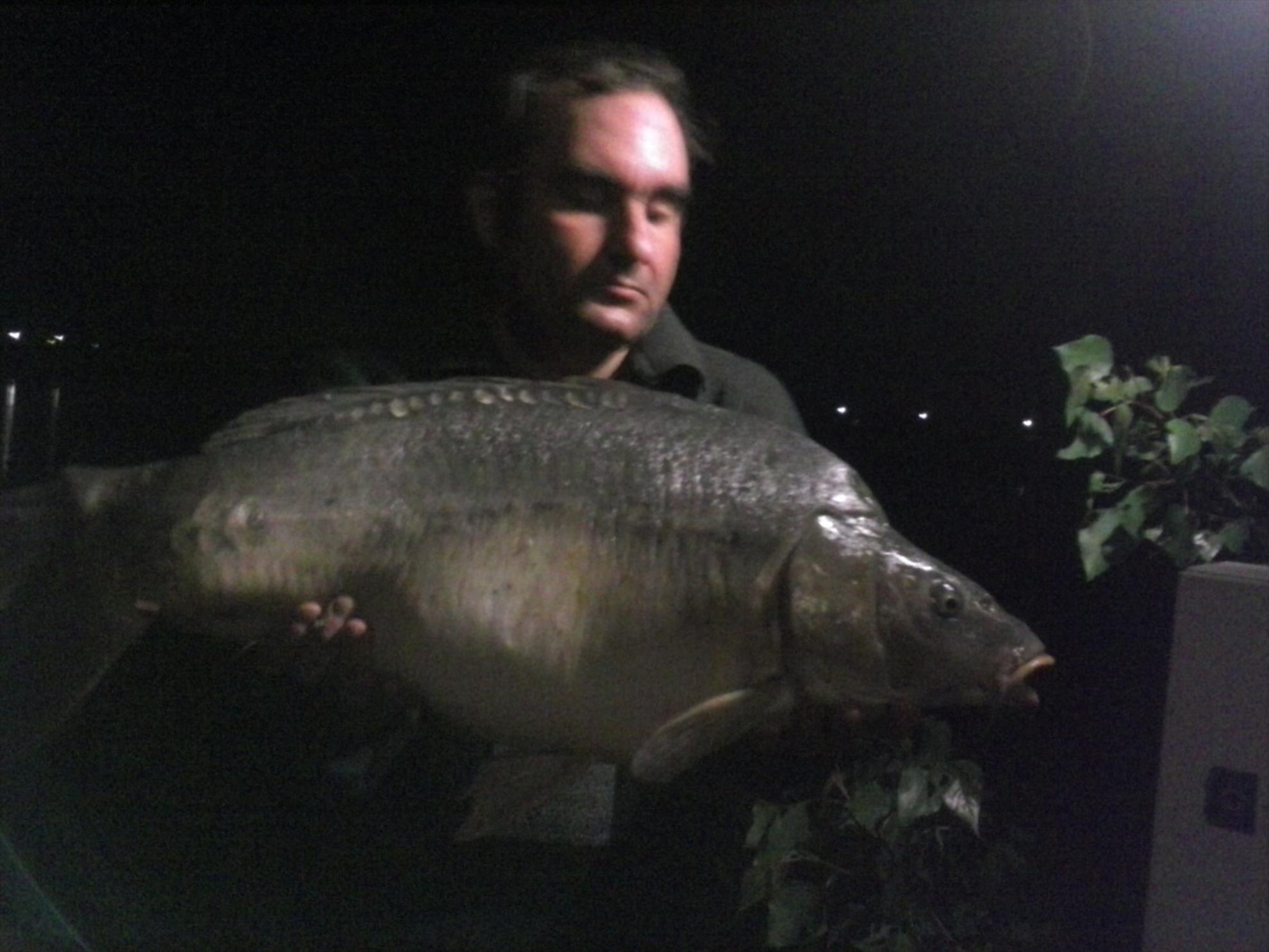 Pleasa 2013 - salonta 7,5 kg